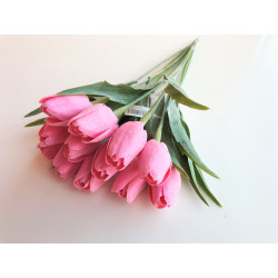 Tulipán pl.B3 - Pink A36