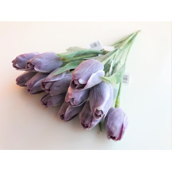 Tulipán pl.C1 - Purple/WH 1024