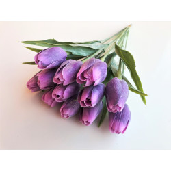 Tulipán pl.C - TT Purple 1140