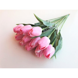 Tulipán pl.B6 - Pink A74